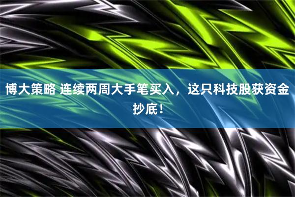 博大策略 连续两周大手笔买入，这只科技股获资金抄底！
