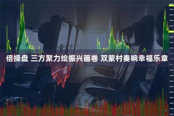 倍操盘 三方聚力绘振兴画卷 双蒙村奏响幸福乐章