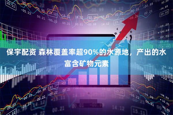 保宇配资 森林覆盖率超90%的水源地，产出的水富含矿物元素