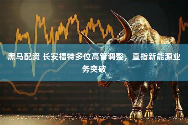 黑马配资 长安福特多位高管调整，直指新能源业务突破