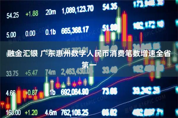 融金汇银 广东惠州数字人民币消费笔数增速全省第一