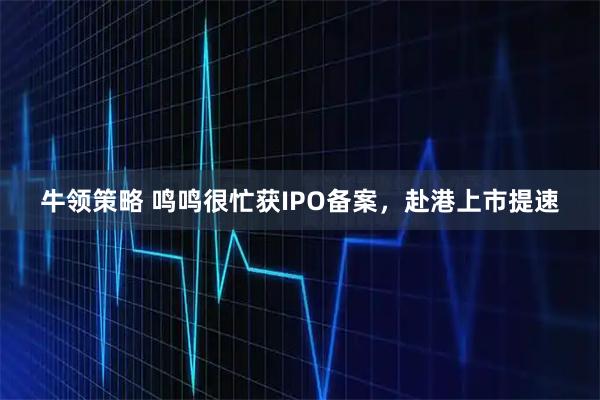 牛领策略 鸣鸣很忙获IPO备案，赴港上市提速