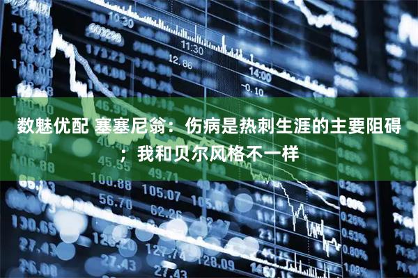 数魅优配 塞塞尼翁：伤病是热刺生涯的主要阻碍；我和贝尔风格不一样