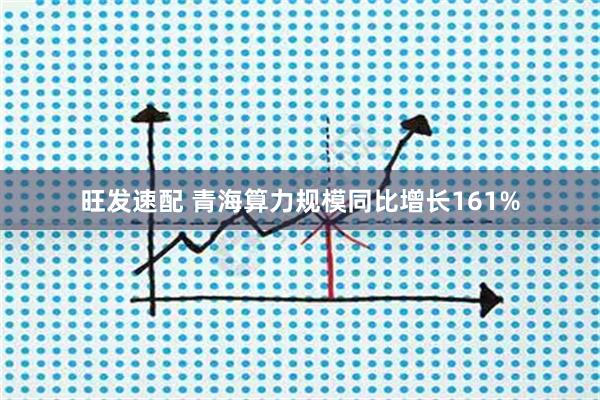 旺发速配 青海算力规模同比增长161%
